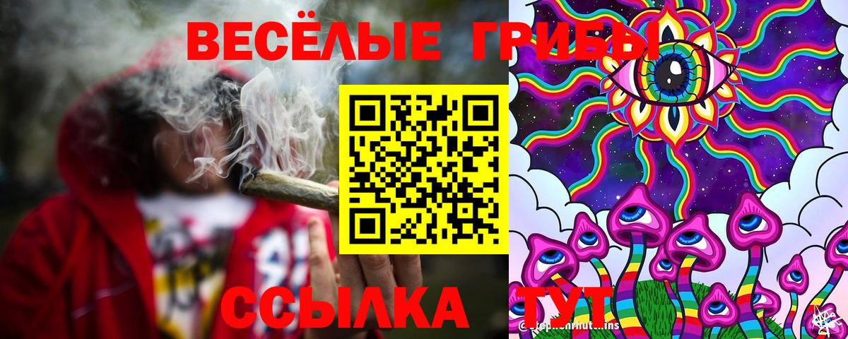 Галлюциногенные грибы мицелий  Галлюциногенные грибы Psilocybine cubensis  Вход с VPN  Омск 